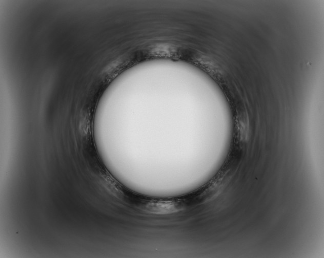 X0000086340665200704202102