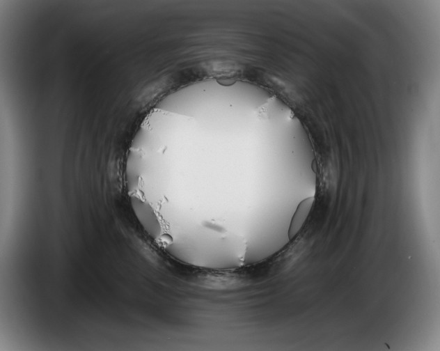 X0000086340666200704202102