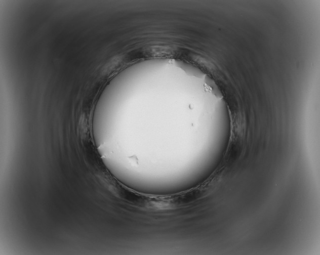 X0000086340667200704202102