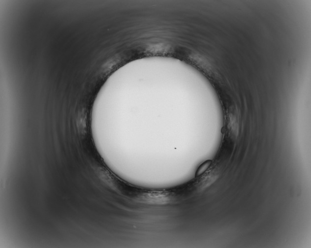 X0000086340668200704202102