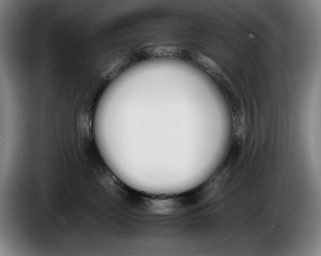 X0000086340669200704202102