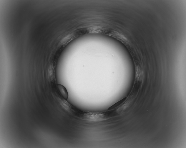 X0000086340670200704202102