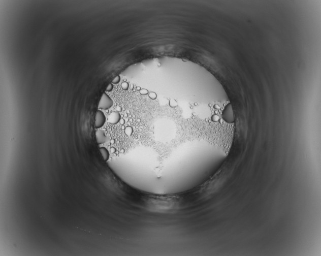 X0000086340671200704202102