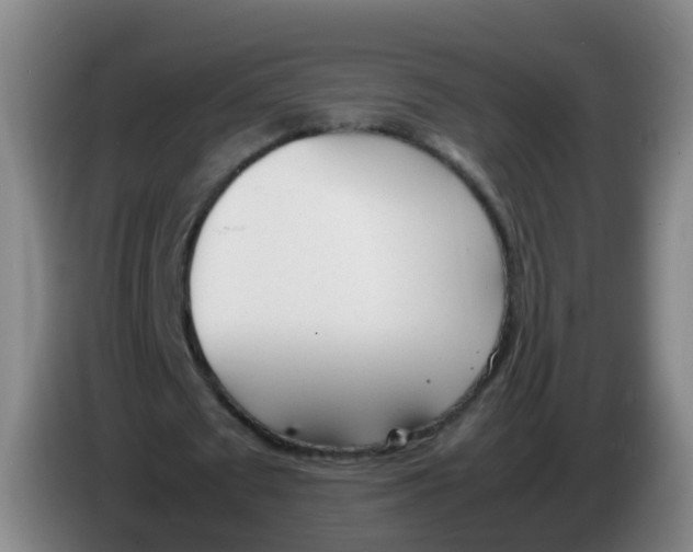 X0000086340673200704202102