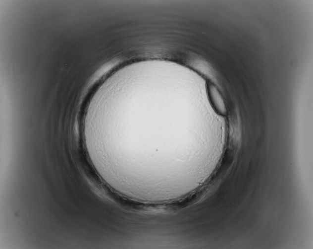 X0000086340674200704202101