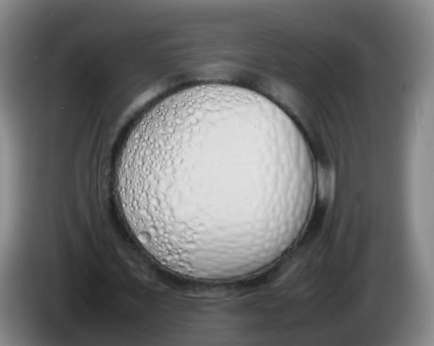 X0000086340675200704202101