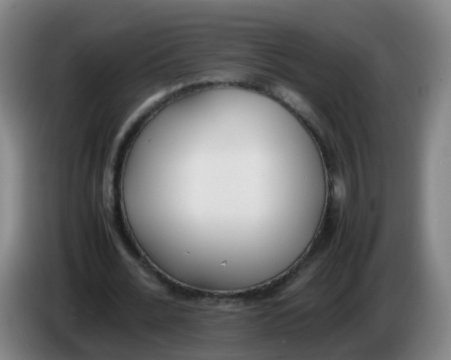 X0000086340676200704202101