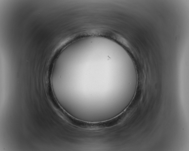 X0000086340677200704202101