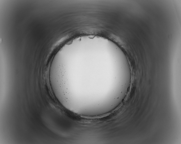 X0000086340679200704202101