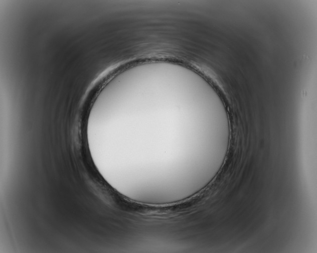 X0000086340680200704202101