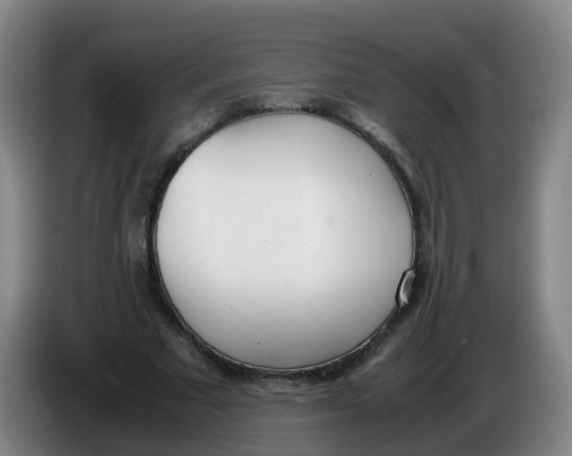 X0000086340681200704202101