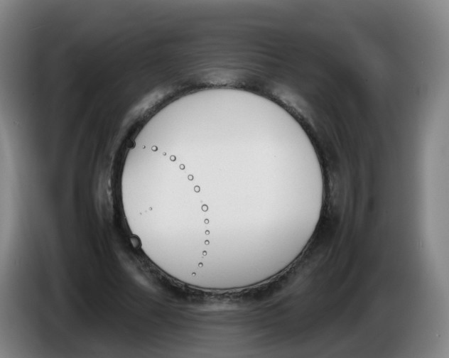 X0000086340682200704202101