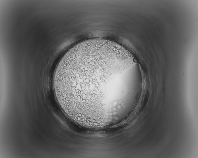 X0000086340683200704202101