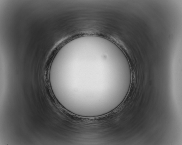 X0000086340684200704202101