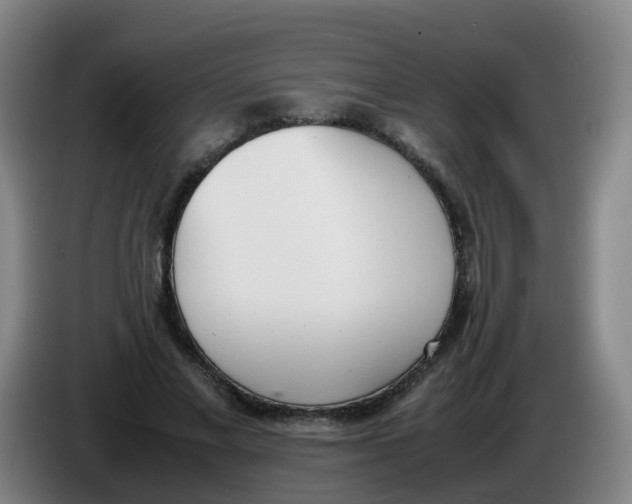 X0000086340685200704202101