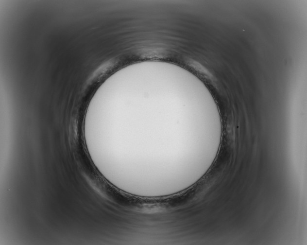 X0000086340686200704202101