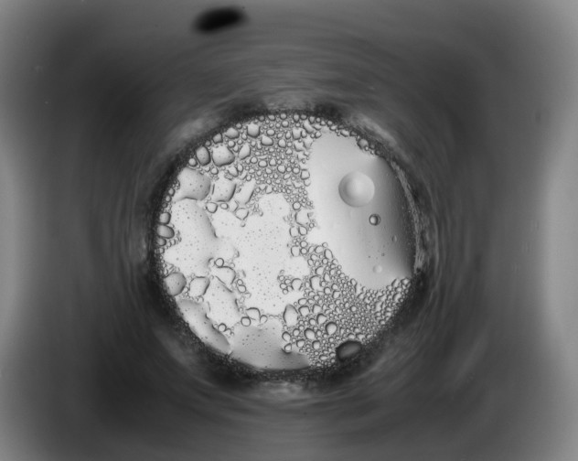 X0000086340687200704202101