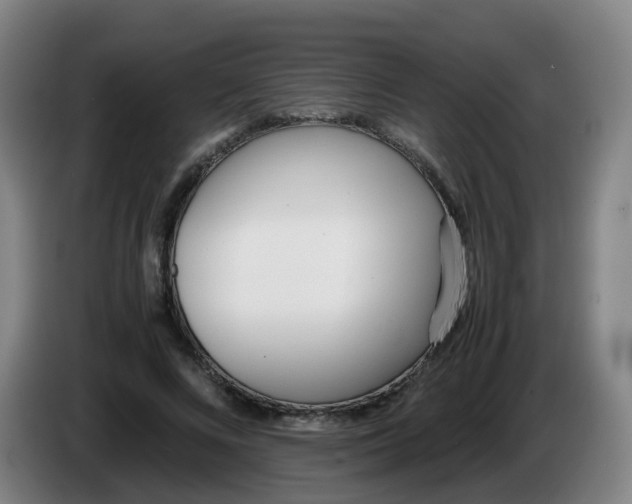 X0000086340688200704202101