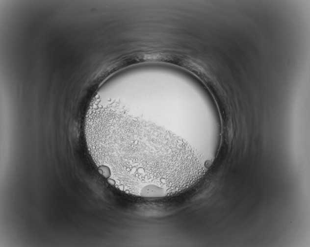 X0000086340691200704202101