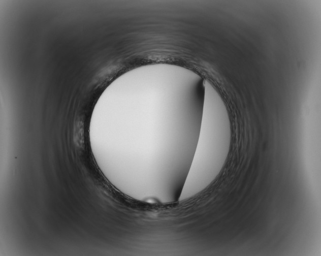 X0000086340696200704202101