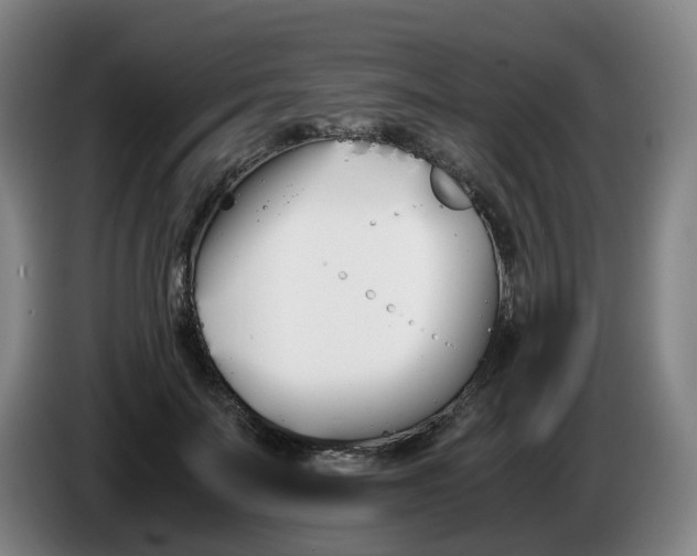 X0000086340699200704202101