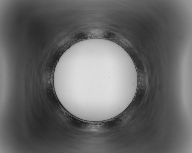 X0000086340701200704202101