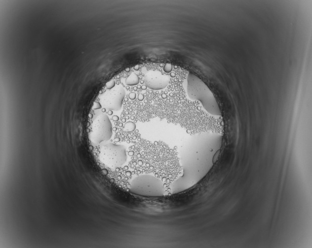 X0000086340703200704202101