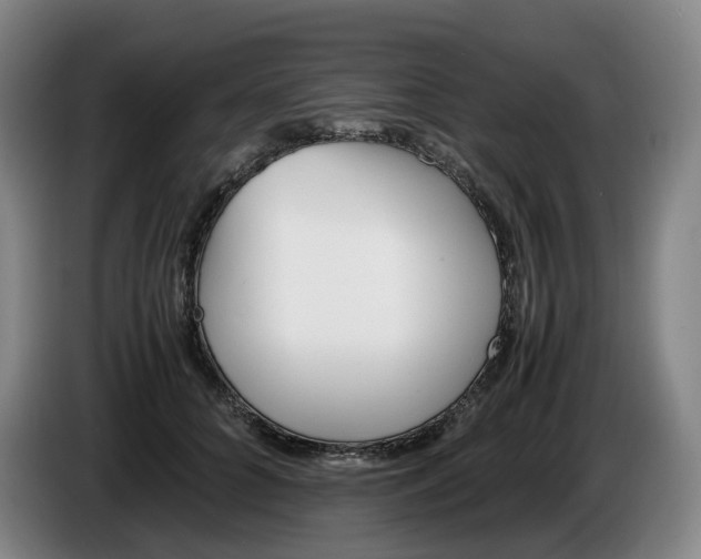 X0000086340704200704202101