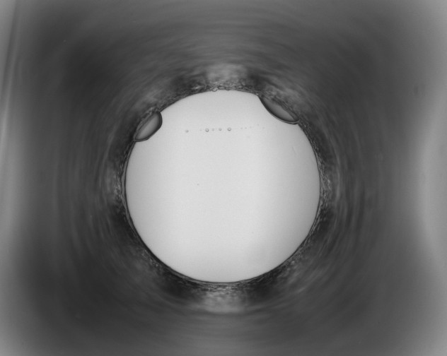 X0000086340705200704202101