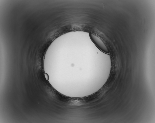 X0000086340706200704202101
