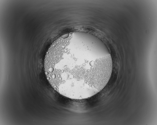 X0000086340707200704202101