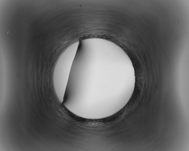 X0000086340708200704202101