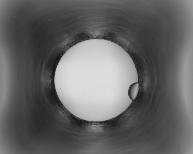 X0000086340710200704202101