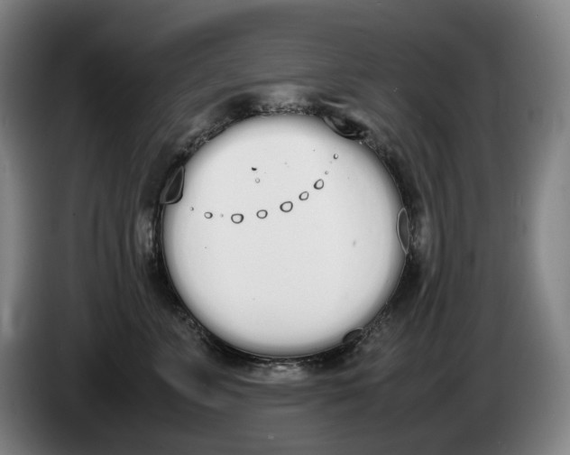 X0000086340715200704202101