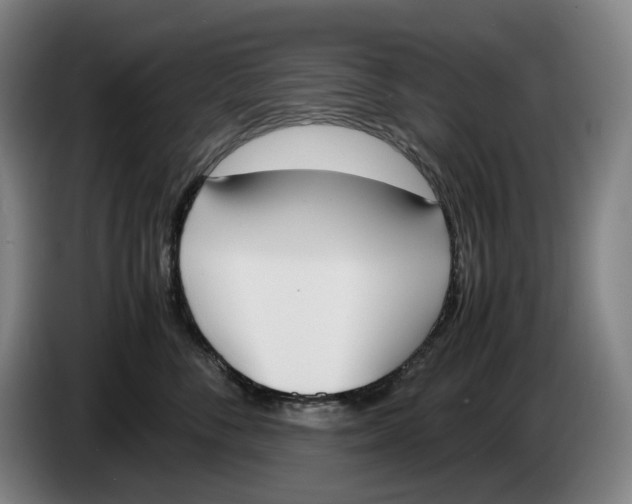 X0000086340716200704202101