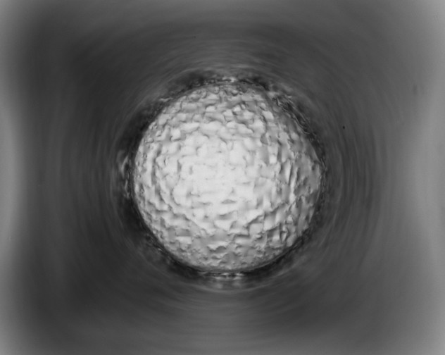 X0000086340720200704202101