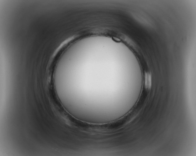 X0000086340723200704202100