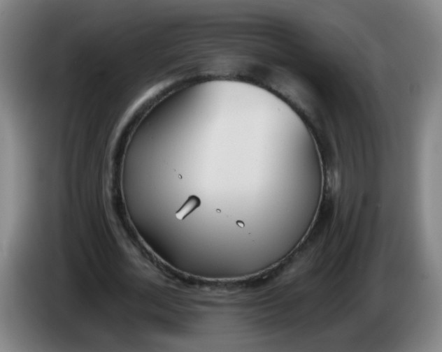 X0000086340724200704202100