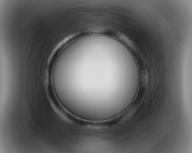 X0000086340726200704202100