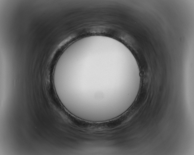 X0000086340727200704202100