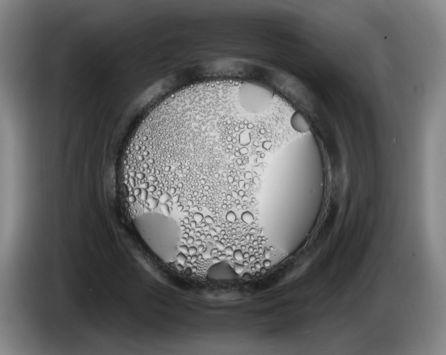 X0000086340729200704202100