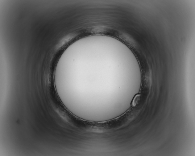 X0000086340732200704202100