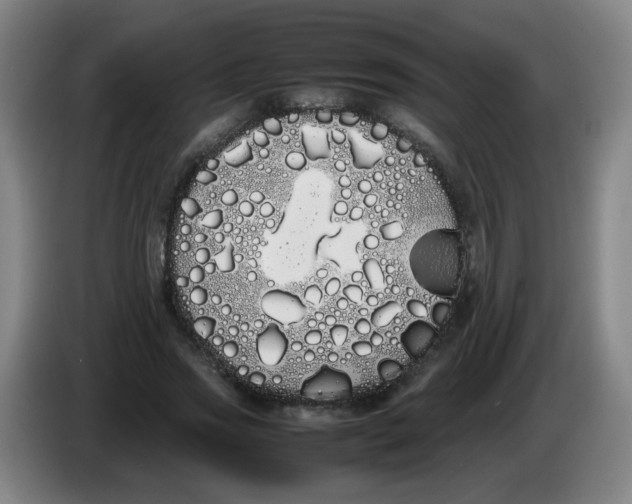 X0000086340733200704202100