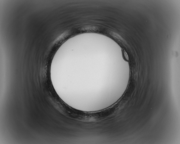 X0000086340735200704202100