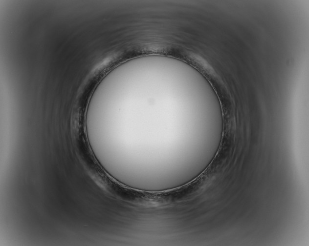 X0000086340736200704202100