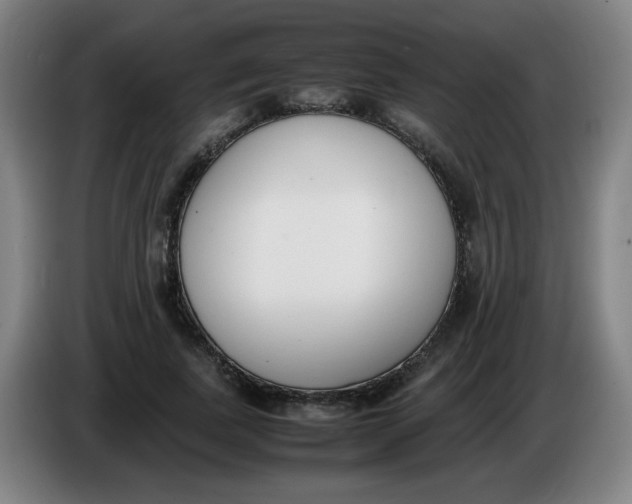 X0000086340739200704202101