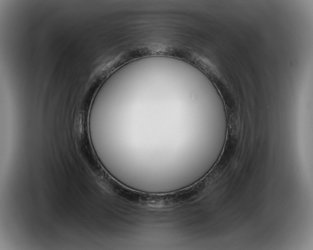 X0000086340740200704202101