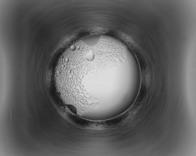 X0000086340742200704202101