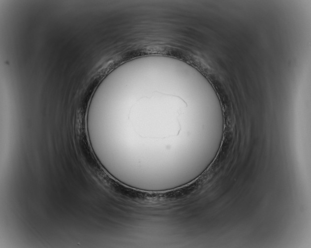 X0000086340744200704202101