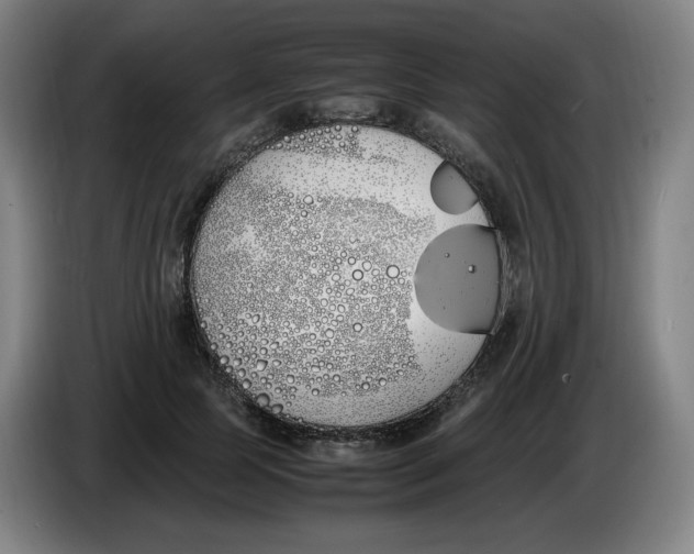 X0000086340745200704202101